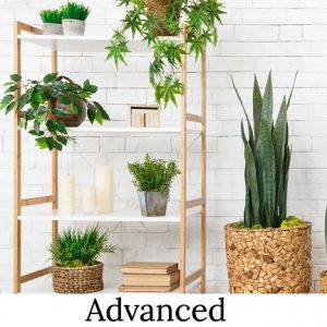 Advanced